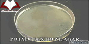 How to Prepare Potato dextrose agar