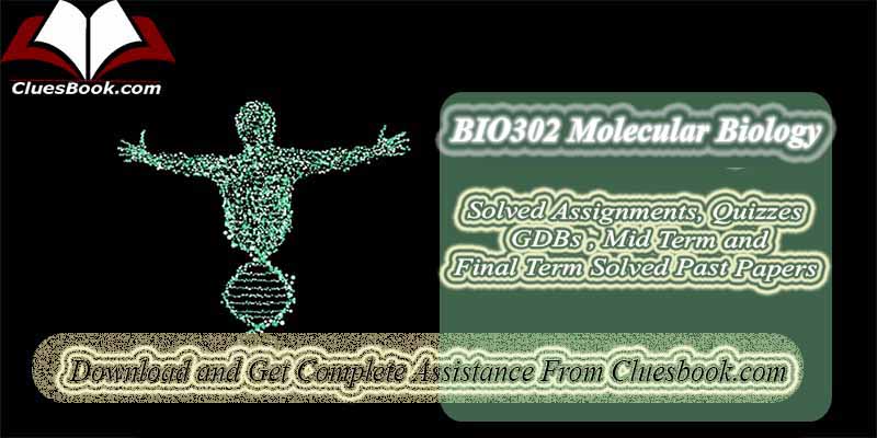 BIO302 Molecular Biology Final Term Past Papers