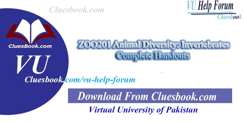 ZOO201 Animal Diversity Invertebrates Complete Handouts