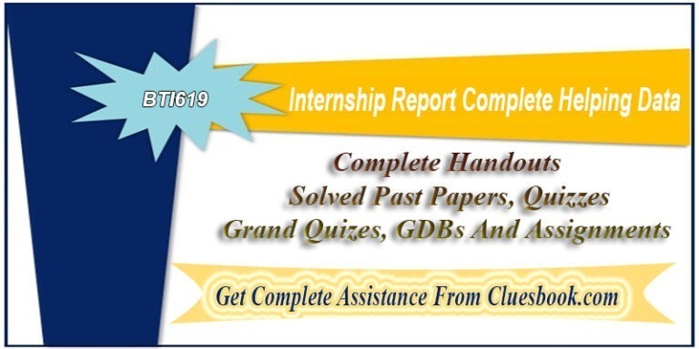 BTI619 Internship Report Complete Helping Data