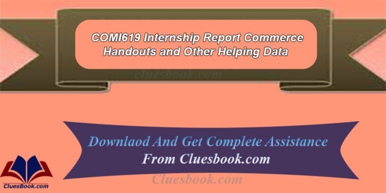 COMI619 Internship Report Commerce Handouts and Other Helping Data