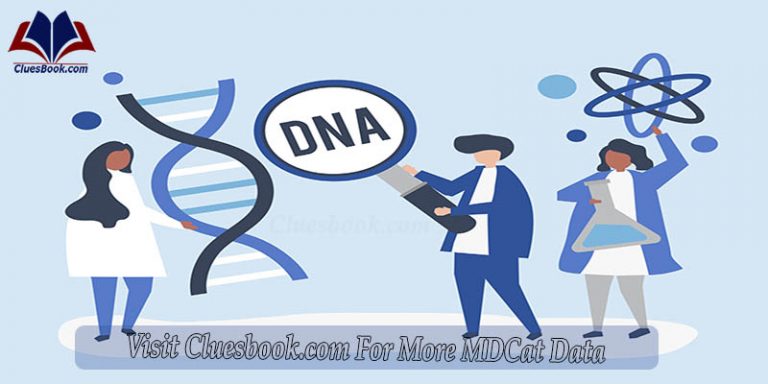 Genetic Scientists conducting research and experiment