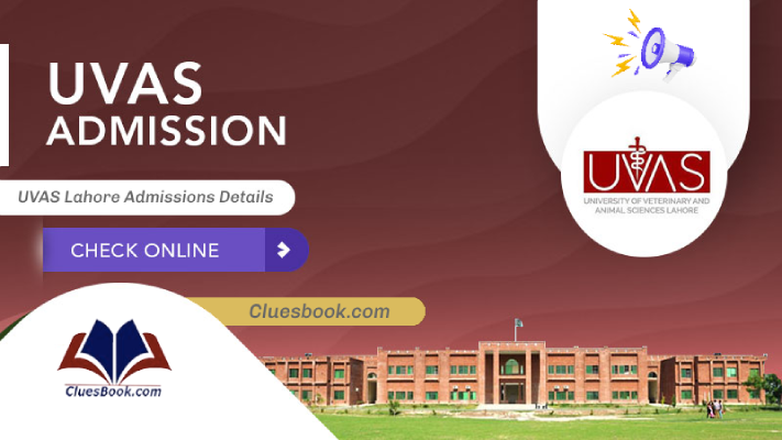 Admissions Open in University of Veterinary and Animal Sciences Lahore 2024 2 Admissions Open in University of Veterinary and Animal Sciences Lahore