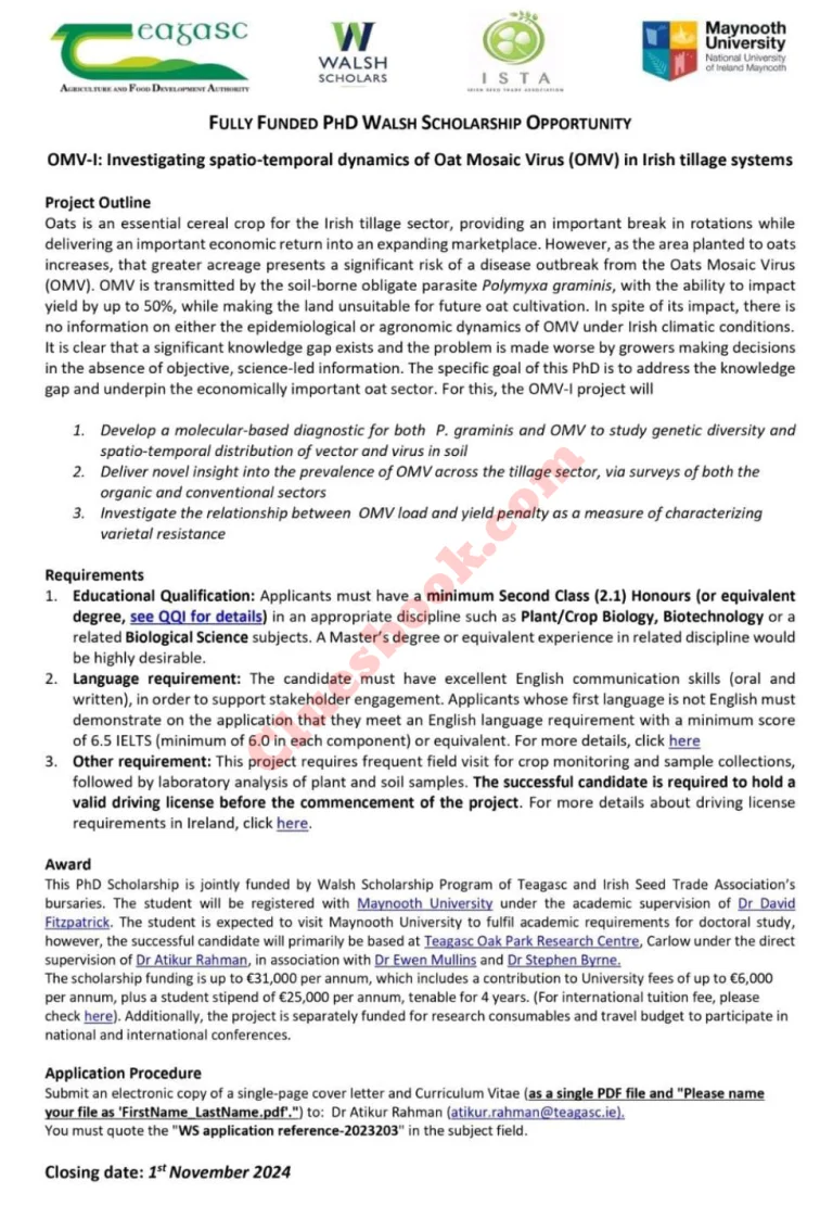 Maynooth University PhD Scholarships