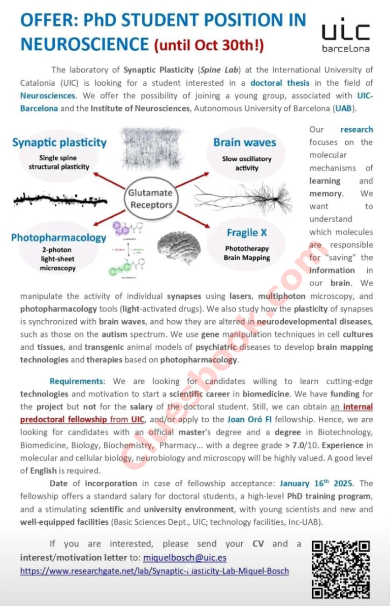 Neuroscience Scholarship PhD at UIC Barcelona