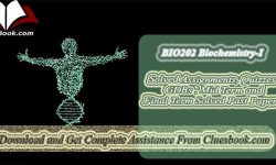 BIO202 Biochemistry-I Final Term Past Papers File-1