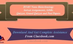 BT405 Nano Biotechnology Midterm Past Papers