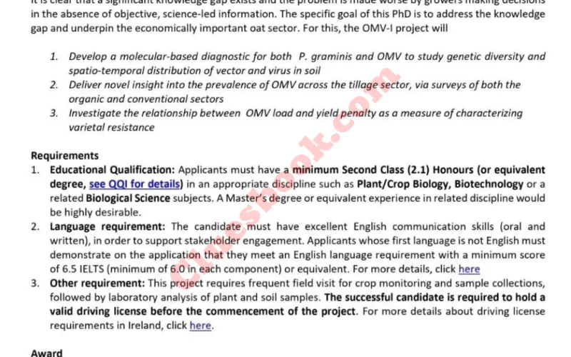 Maynooth University PhD Scholarships