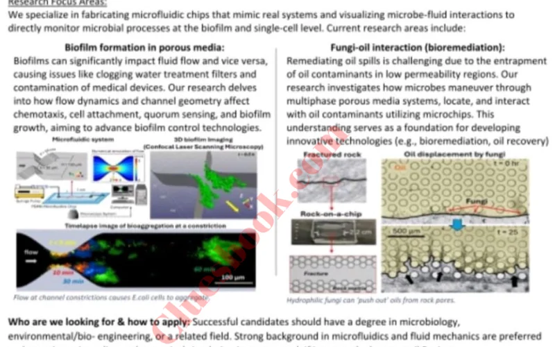 PhD Positions in United States at UMass Biofluids Lab