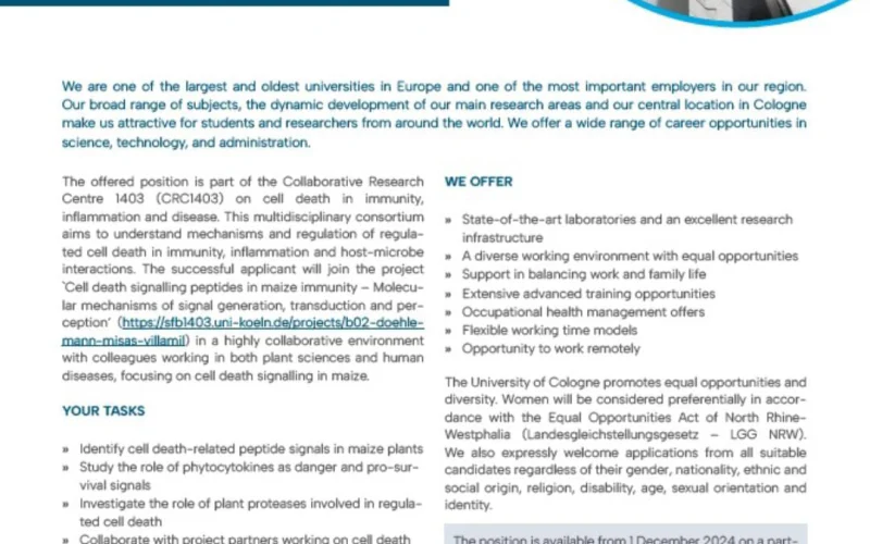 University of Cologne Scholarships for PhD in Plant Immunity