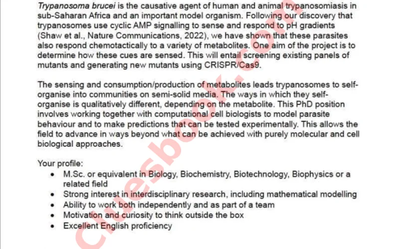 University of Wuerzburg Scholarships in Germany 2024